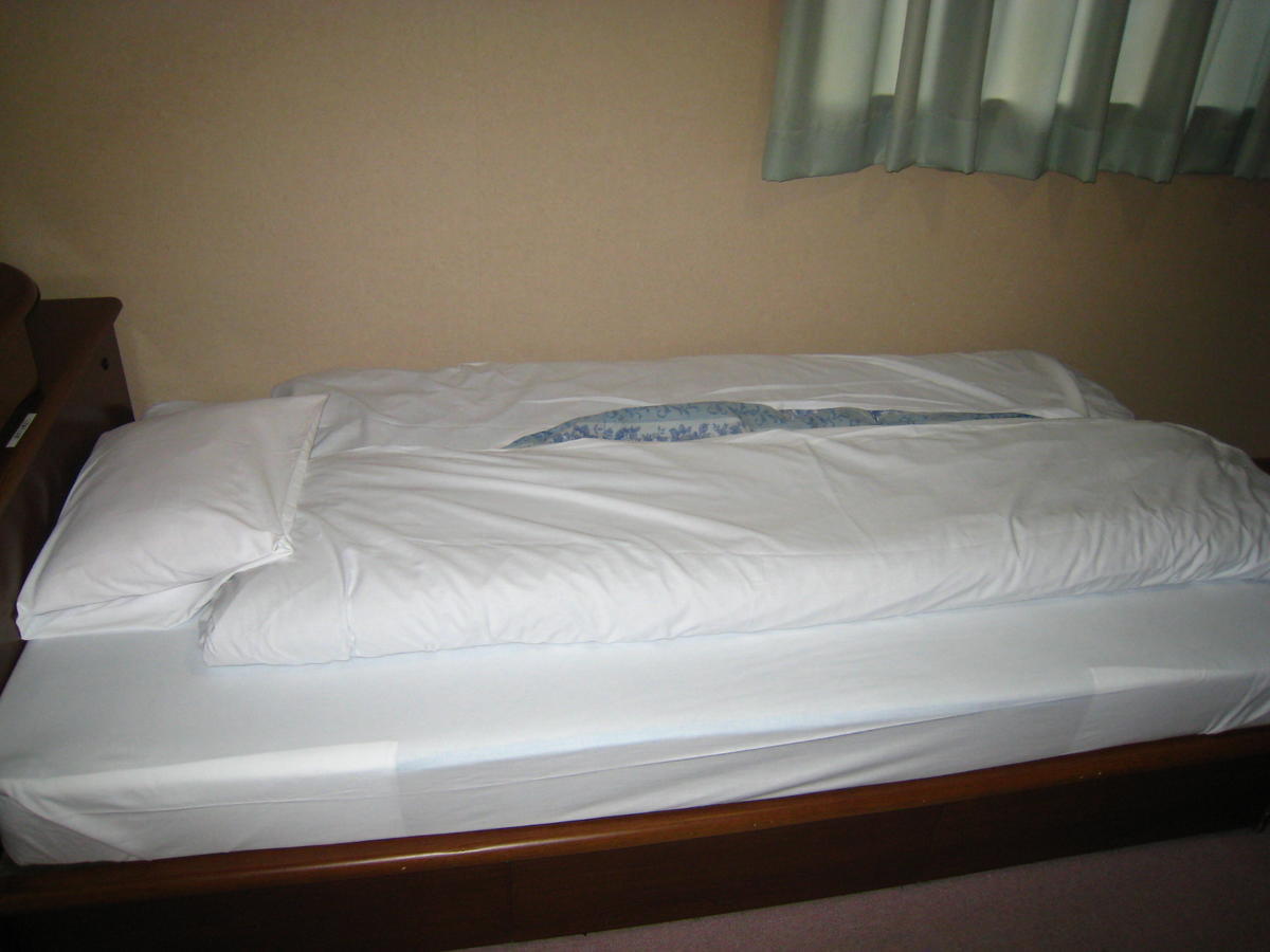Business Hotel Ojiro Shizuoka Bilik gambar